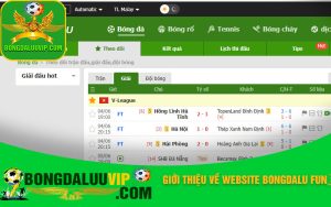 Giới thiệu về Website Bongdalu fun 