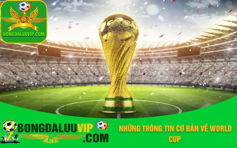 Những thông tin cơ bản về World Cup